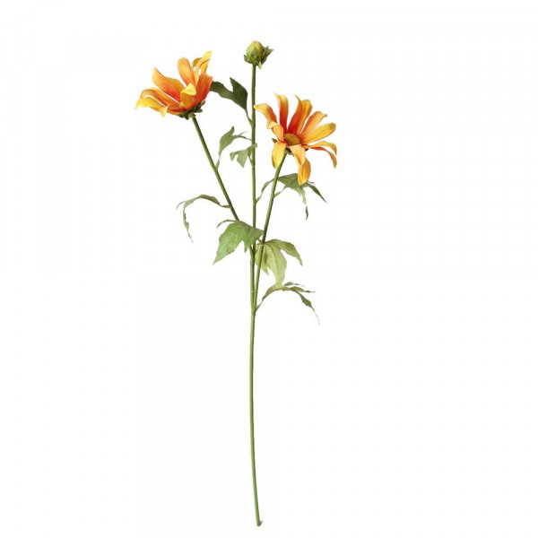 Flora-Frühlingsblume Flora orange, K-2220745-1