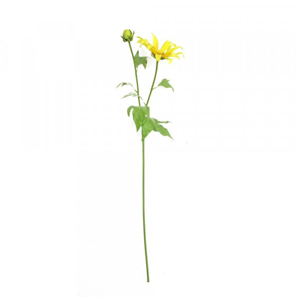 Flora-Frühlingsblume Flora gelb-2220743-1