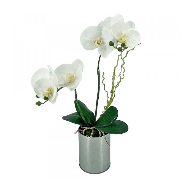 Leilani-Orchideen-Bonsai Leilani 44 cm-2221403-1
