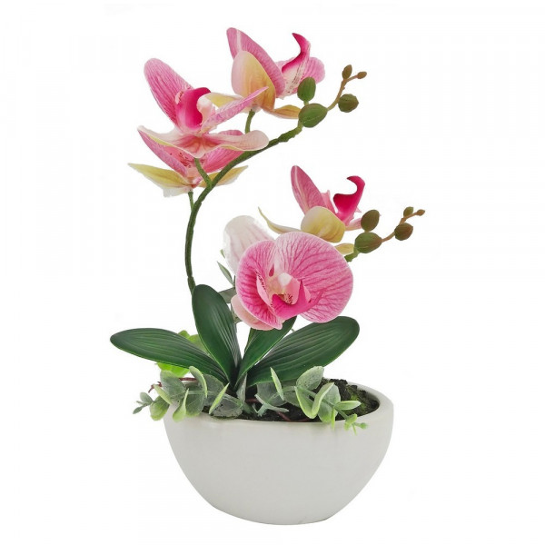 Leilani-Orchideen-Bonsai 28 cm-2221407-1
