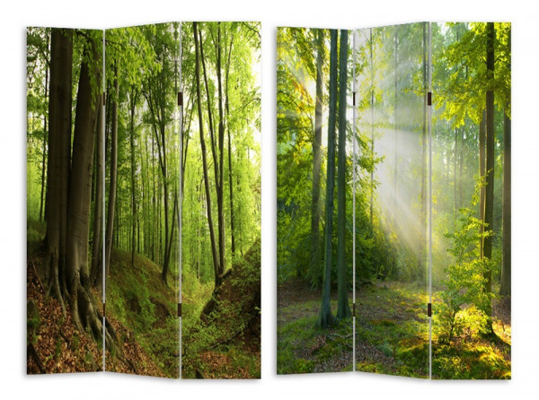 Waldweg-Paravent Waldweg-280167-1