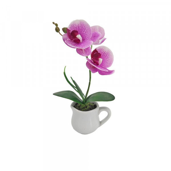 Leilani-Orchideen-Bonsai Leilani 27 cm-2221402-1