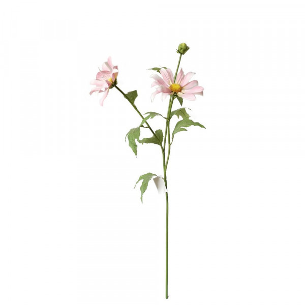 Flora-Frühlingsblume Flora rosa, Kun-2220744-1